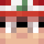 xswetz Minecraft head